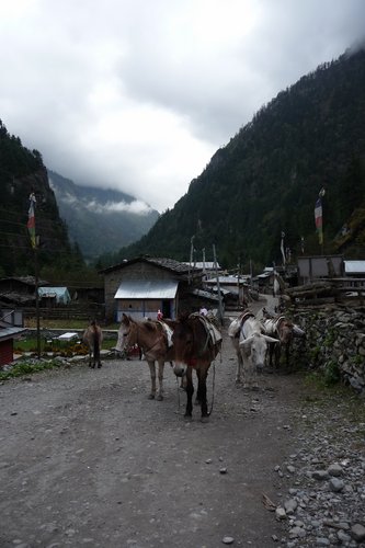 P1040143.JPG